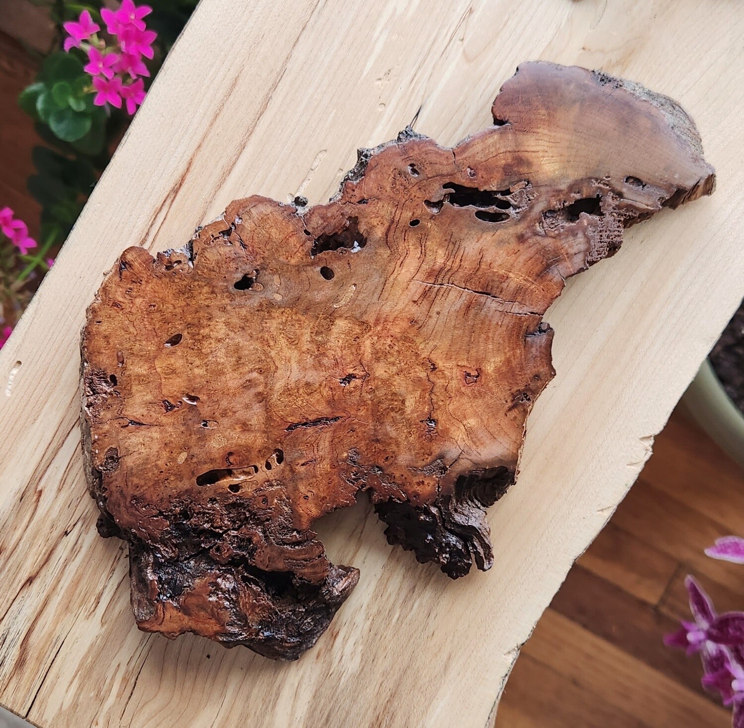 Cherry Burl Coaster