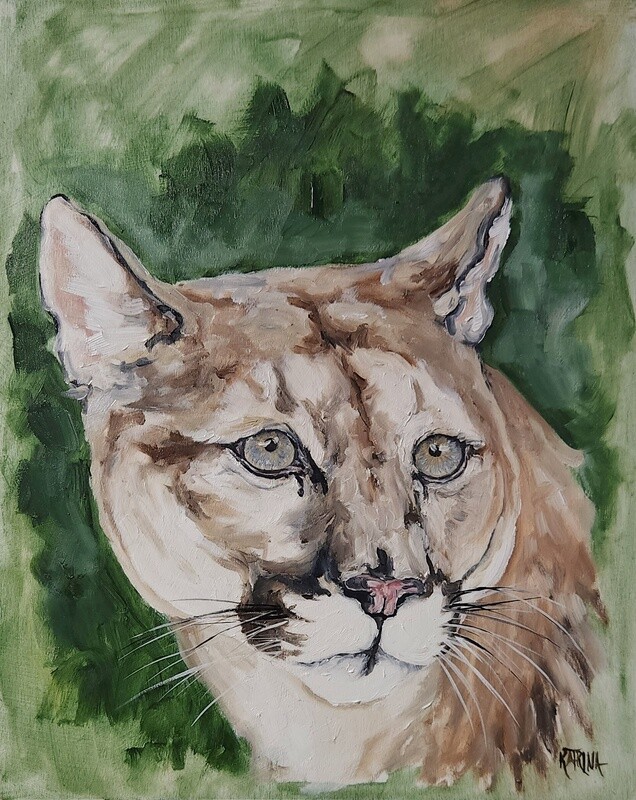 Mountain Lion Study