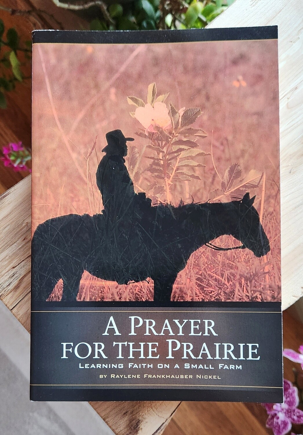 A Prayer for the Prairie