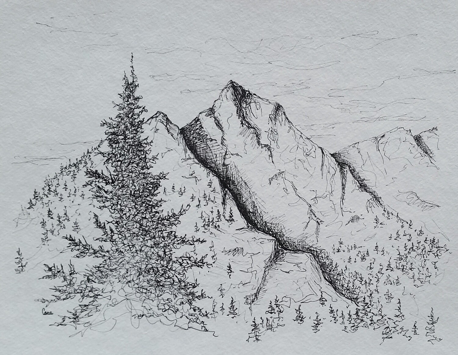 Cabin 19
