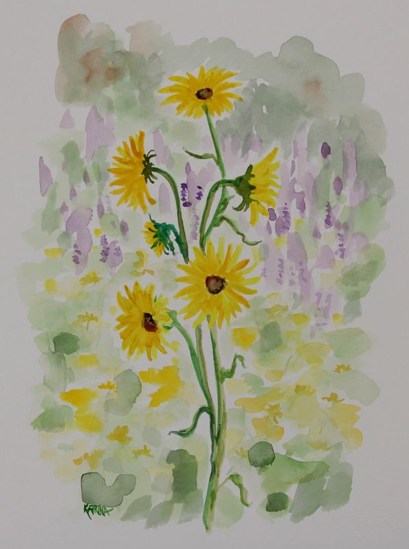 Compass Plant Watercolor