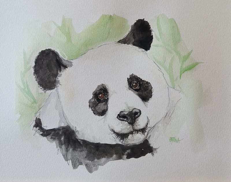 Panda