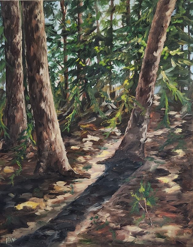 Sunlight Through the Pines