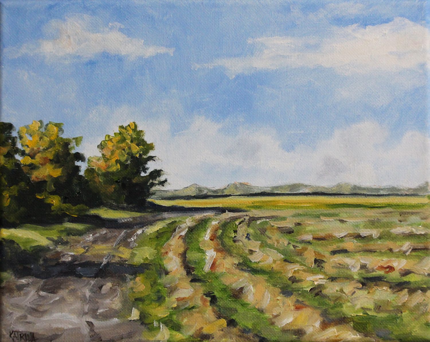 Wind Rows