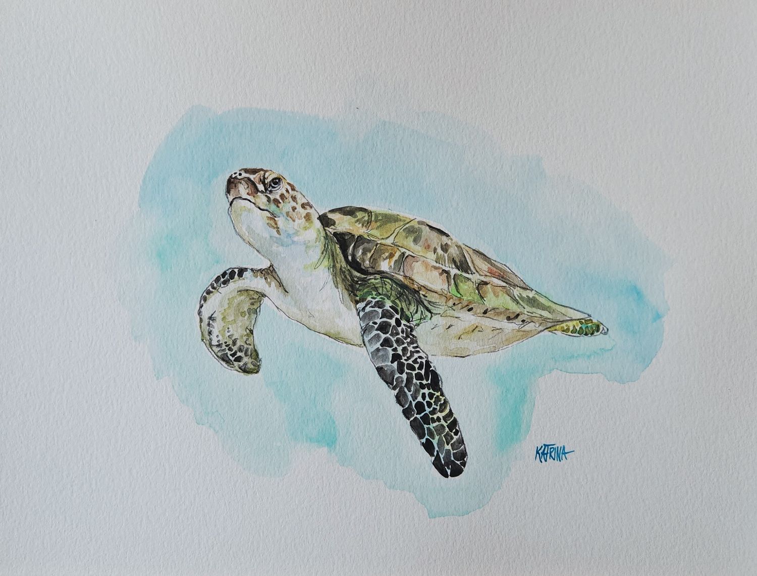 Green Sea Turtle