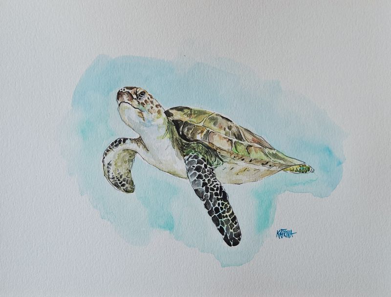 Green Sea Turtle