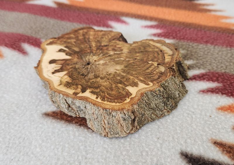 Maple Burl Coaster