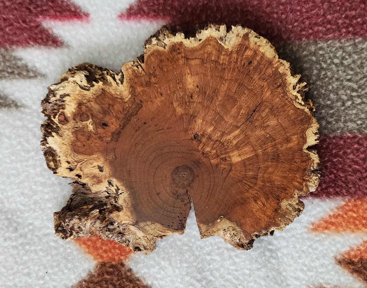 Cherry Burl Coaster