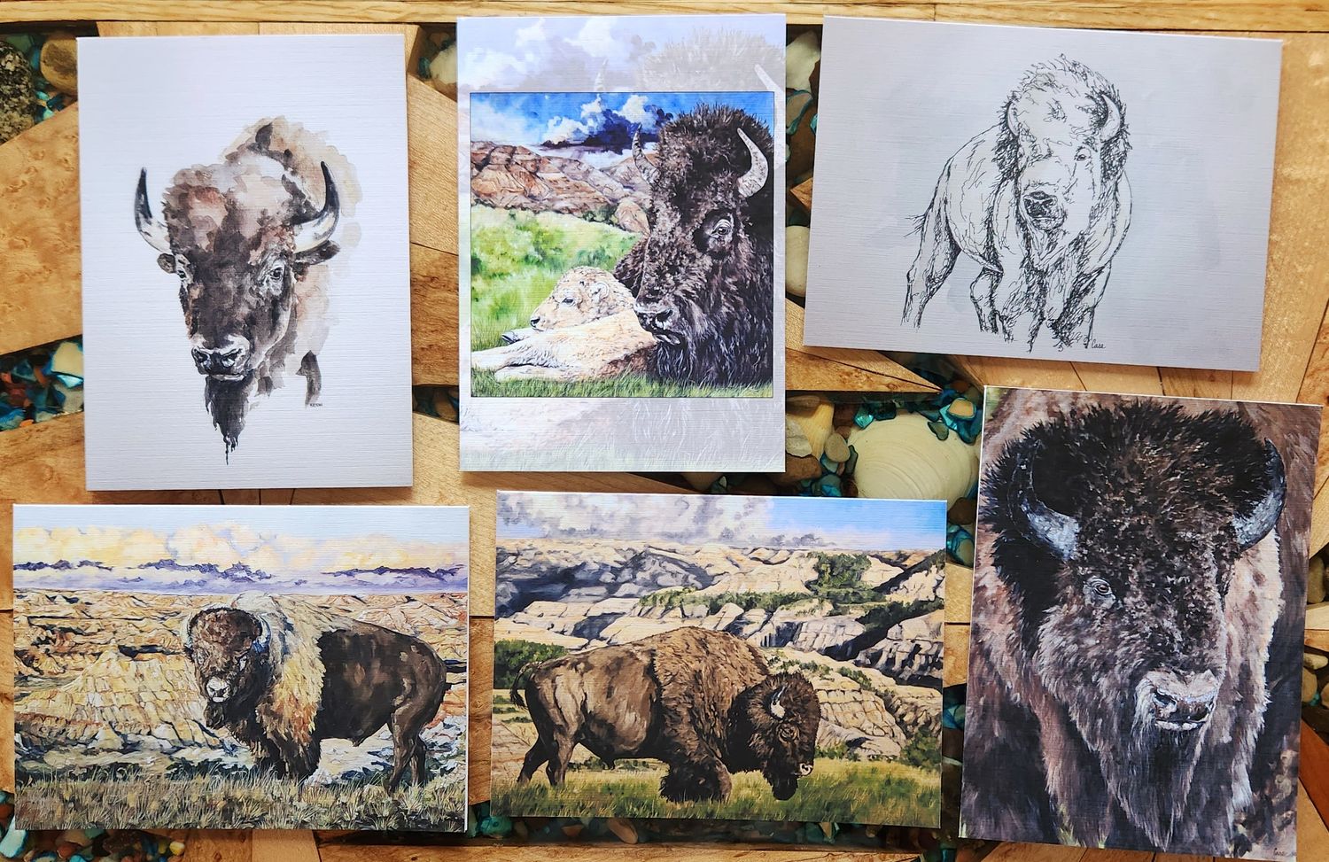 Bison Collection