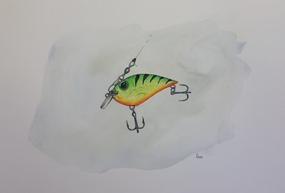 Fishing Lures