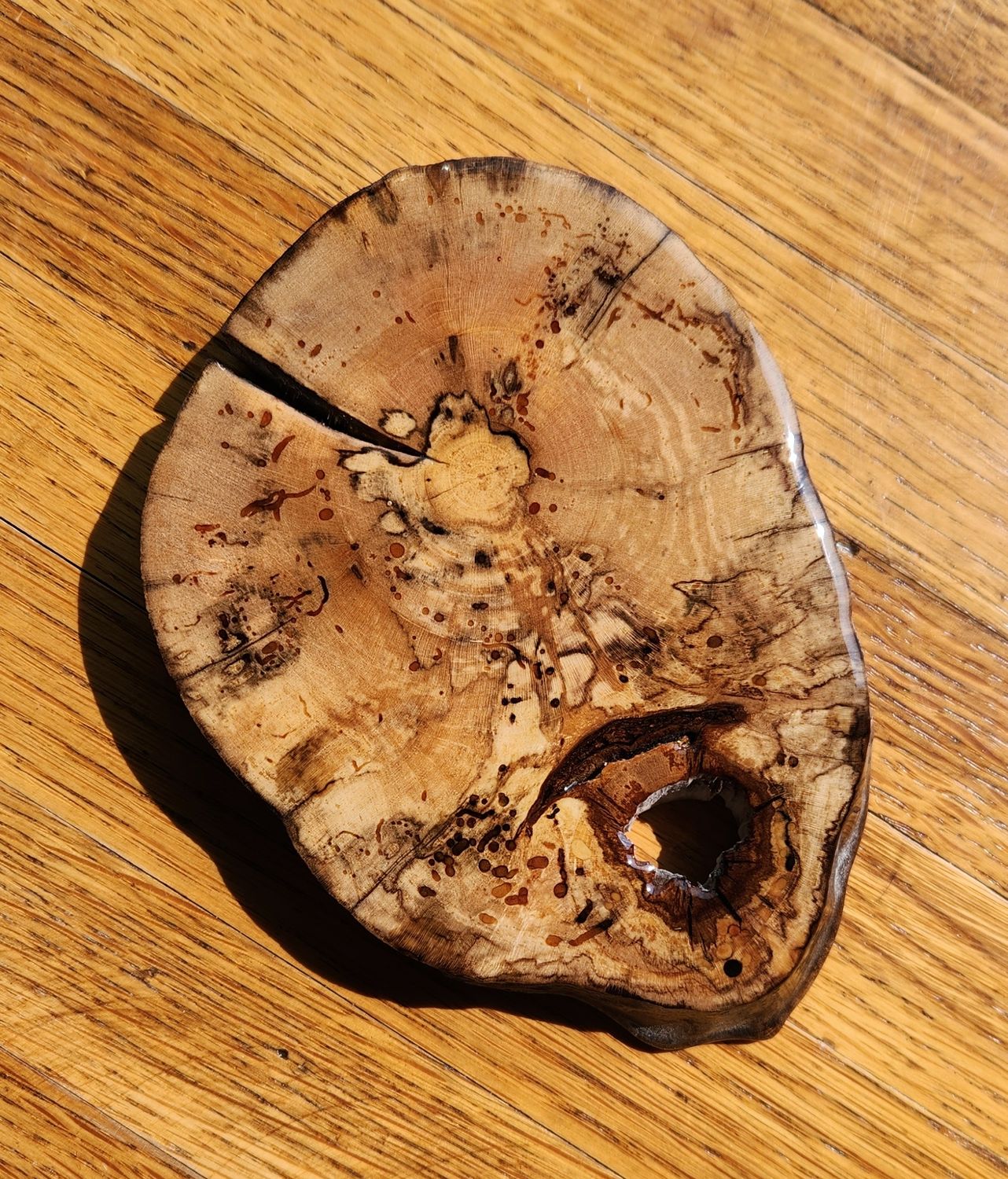 Spalted Maple Coaster