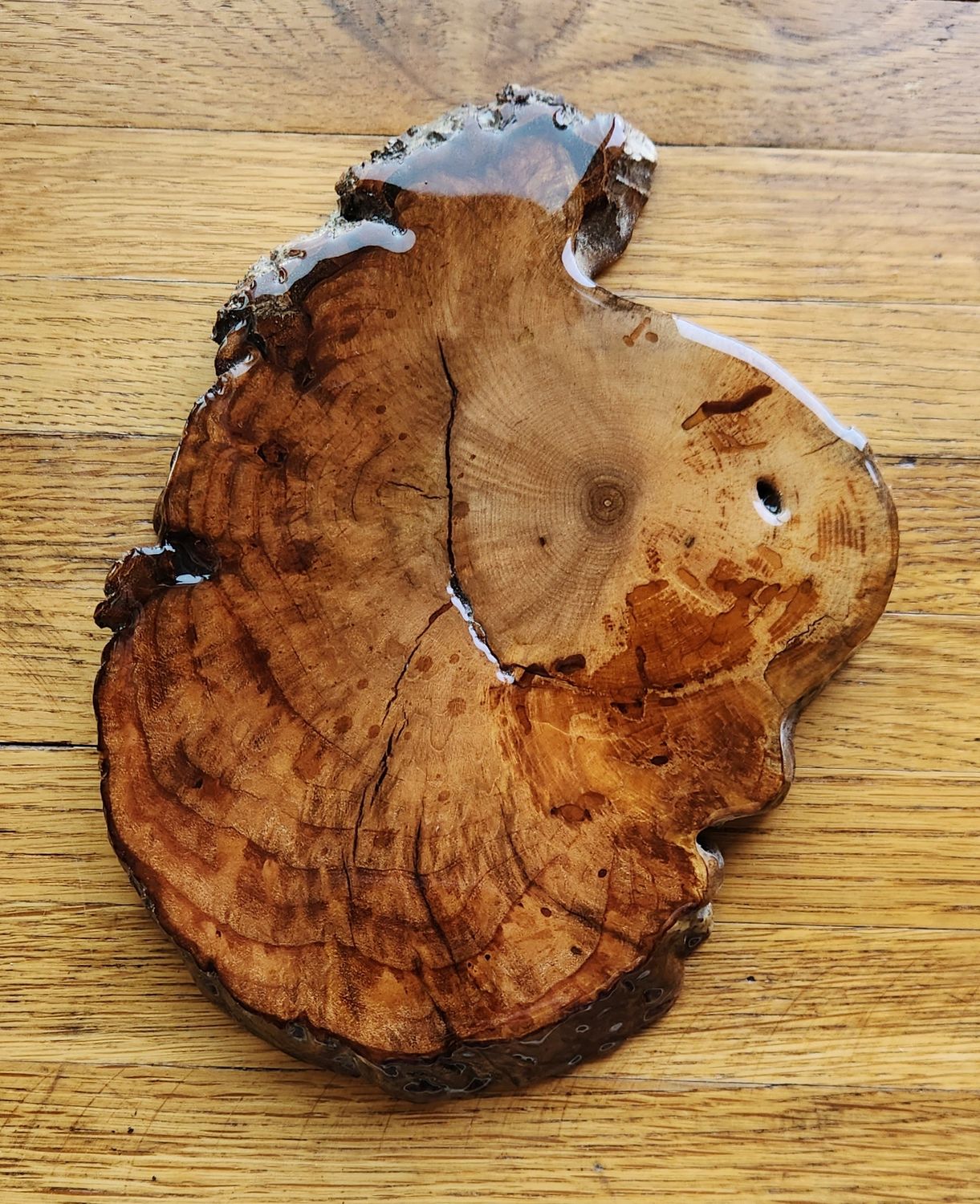 Cherry Burl Coaster/Trivet