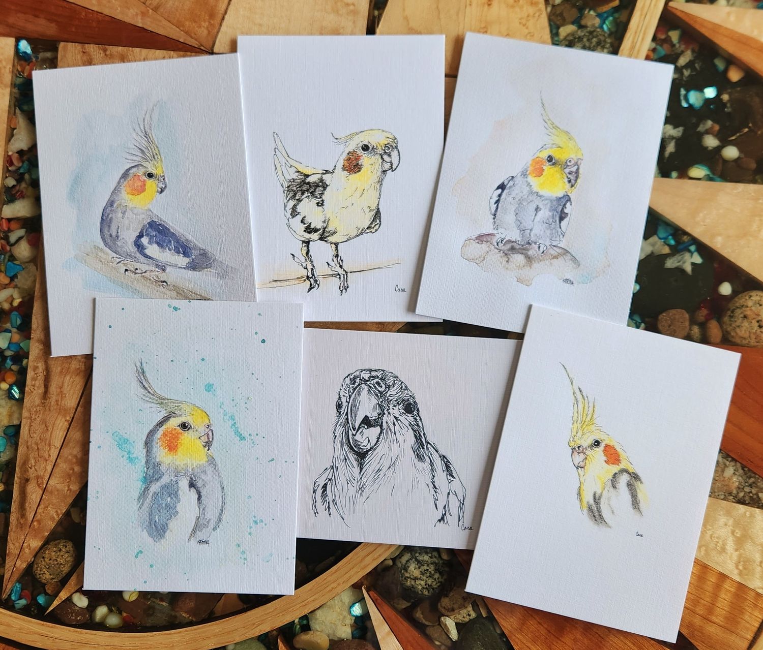 Birb Collection