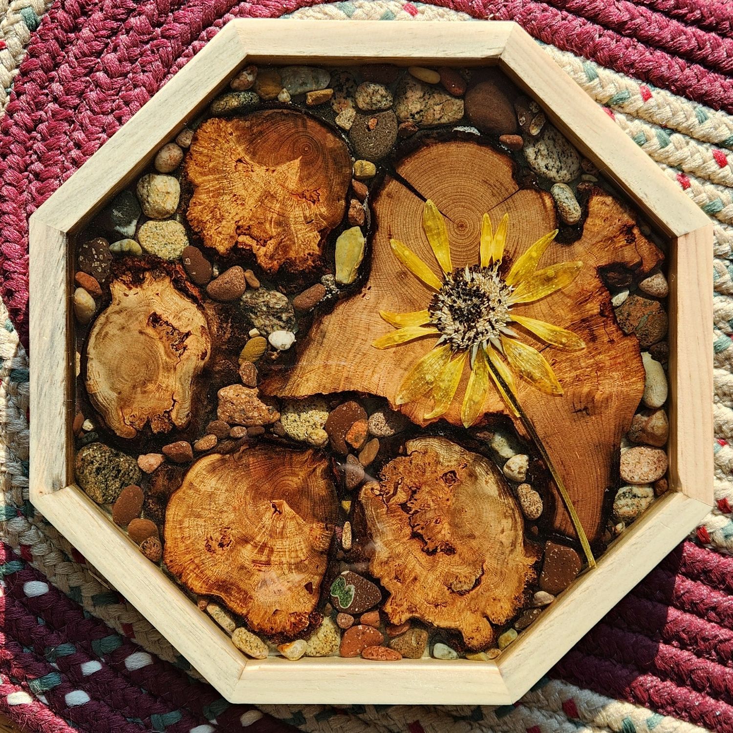 Brown-Eyed Susan