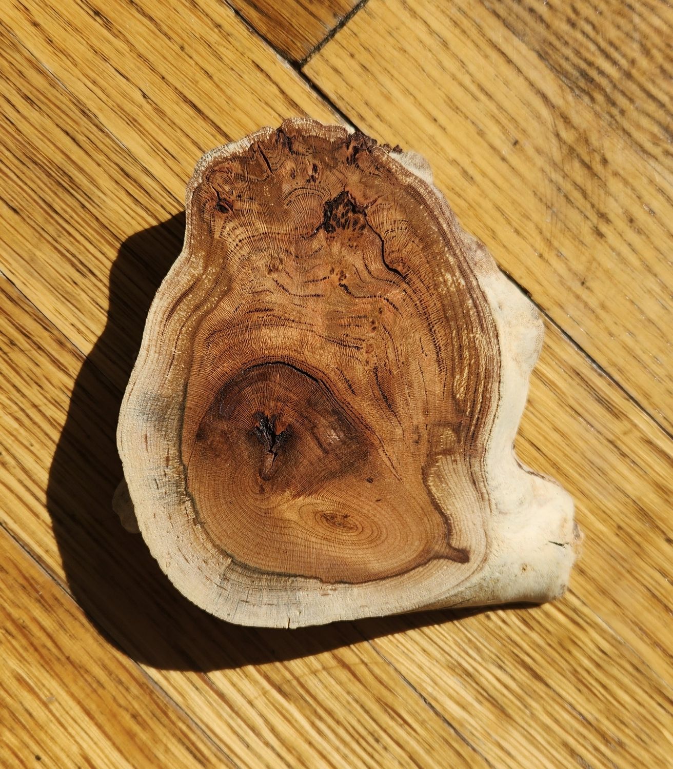 Cherry Wood Burl Coaster