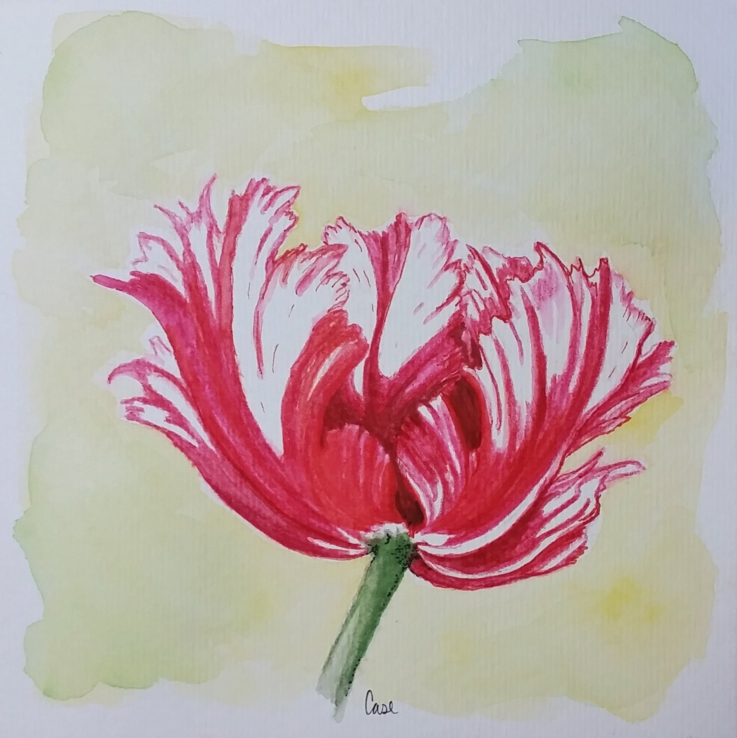Spring: Estella Parrot