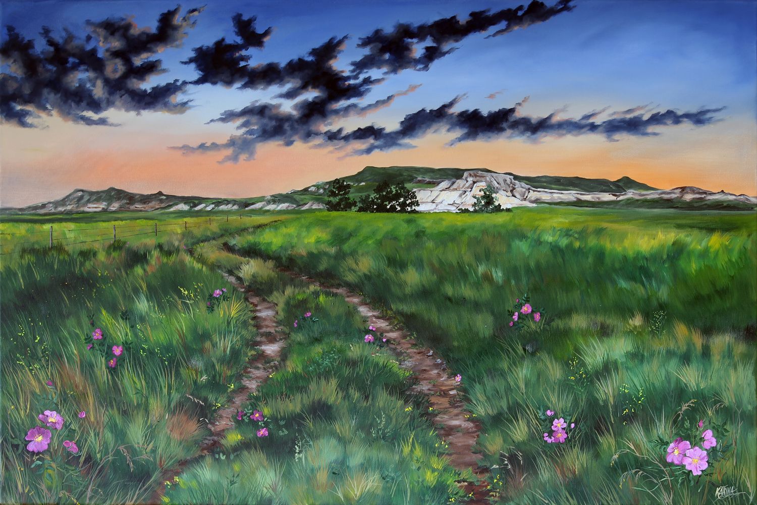 Prairie Roses of White Butte