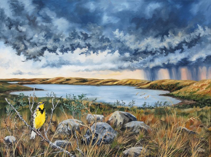 Song Before the Storm