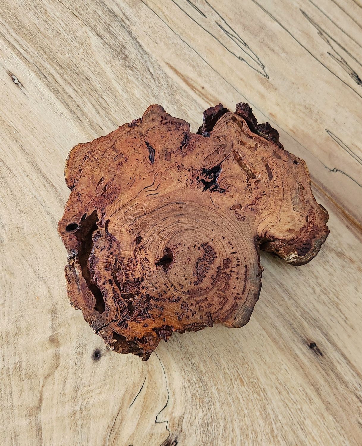 Cherry Burl Abstract