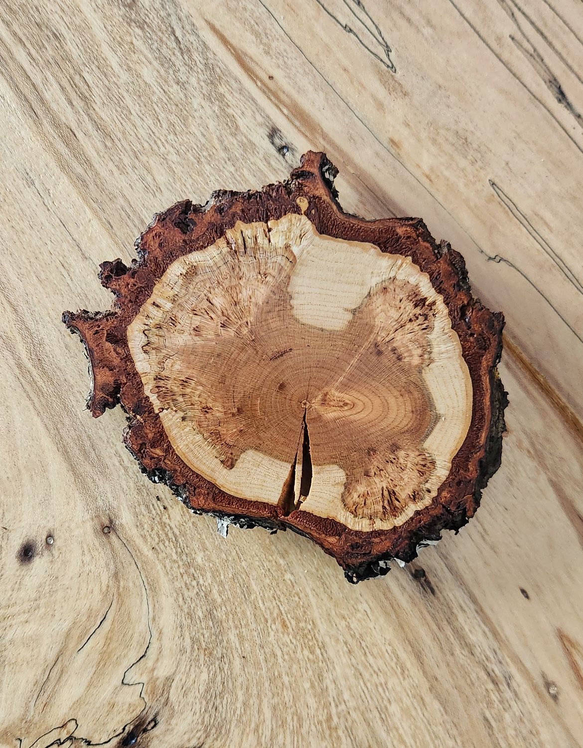 Cherry Burl Coaster