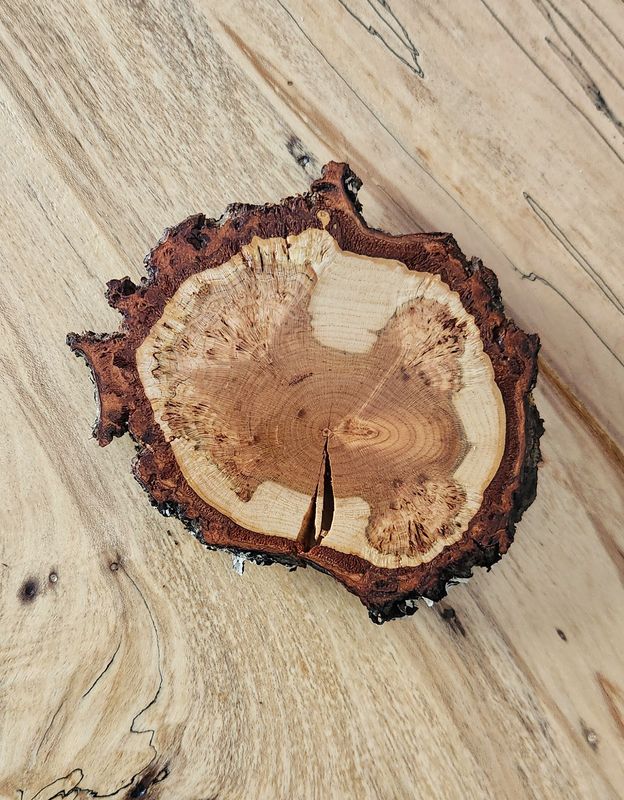 Cherry Burl Coaster