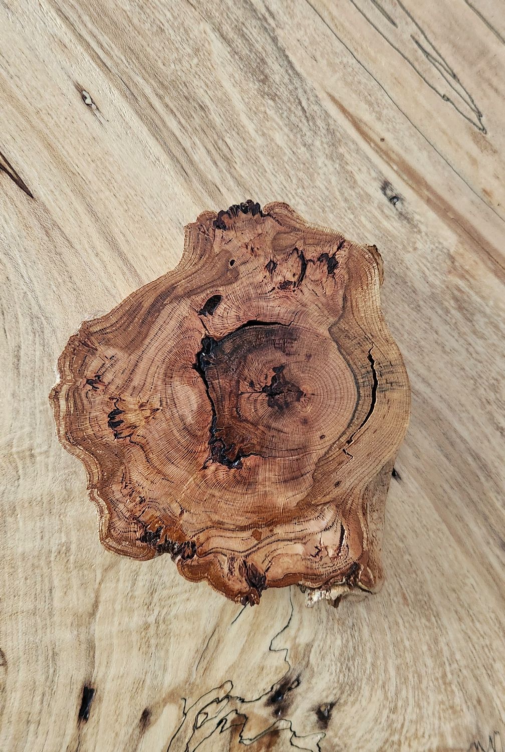 Cherry Burl Coaster