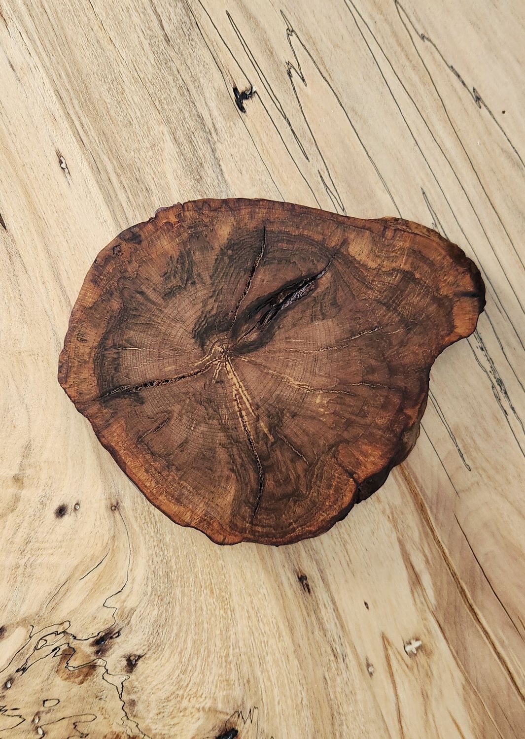 Dark Maple Burl Coaster-Trivet