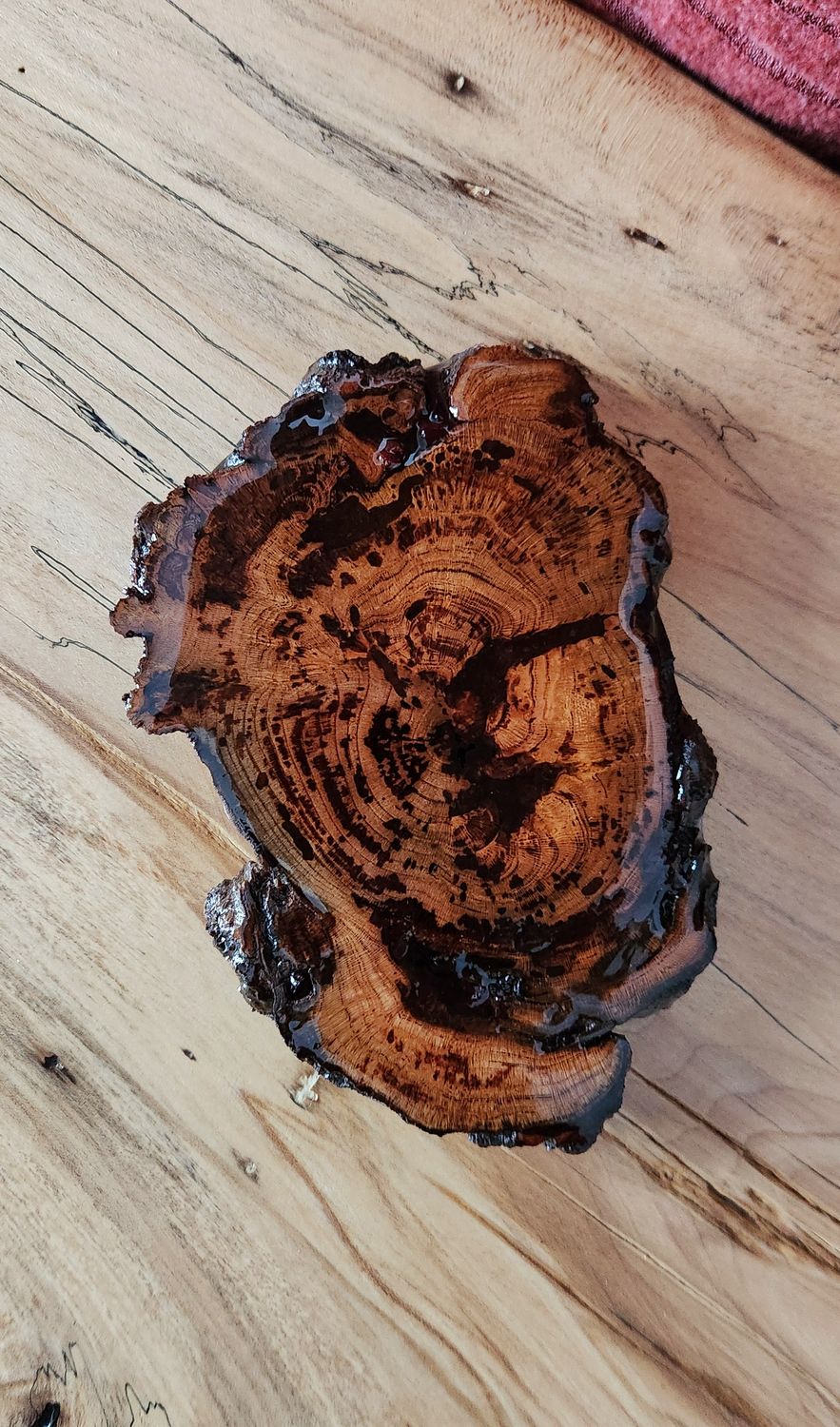 Poured Cherry Burl Coaster