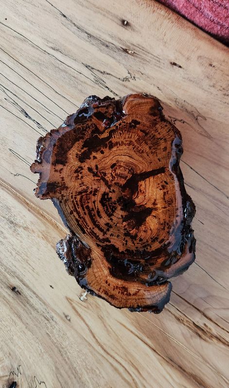 Poured Cherry Burl Coaster
