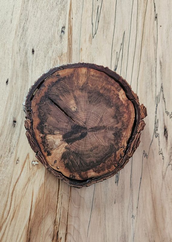 Dark Colored Spalted Maple Coaster with Live Edge