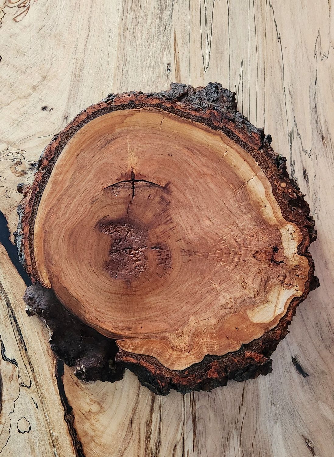 Cherry Burl Slice Trivet-Charcuterie Board