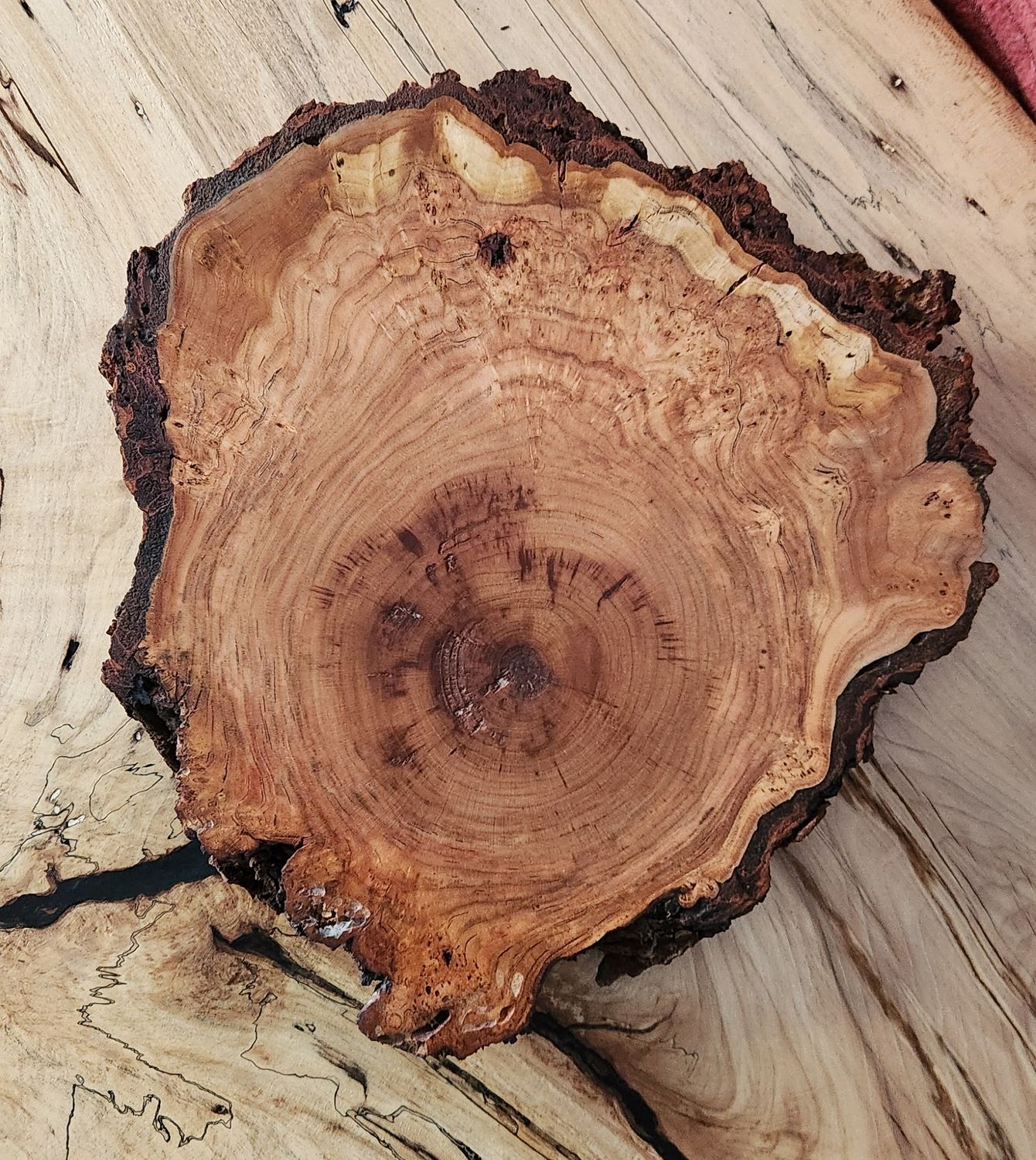 Cherry Burl Trivet-Charcuterie Board