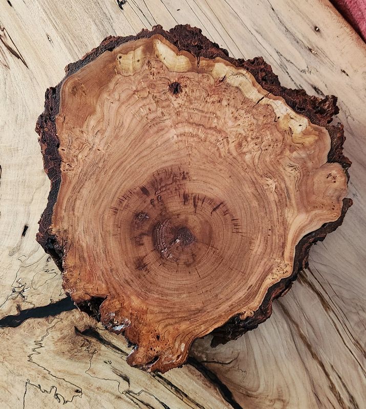 Cherry Burl Trivet-Charcuterie Board