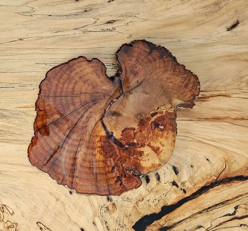 Cherry Burl Trivet with Red Glass