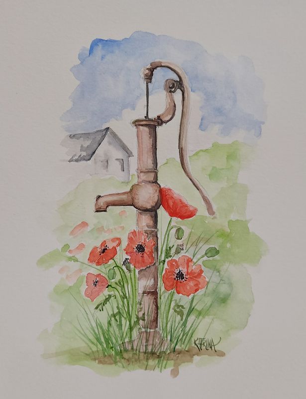 Poppies Along the Path