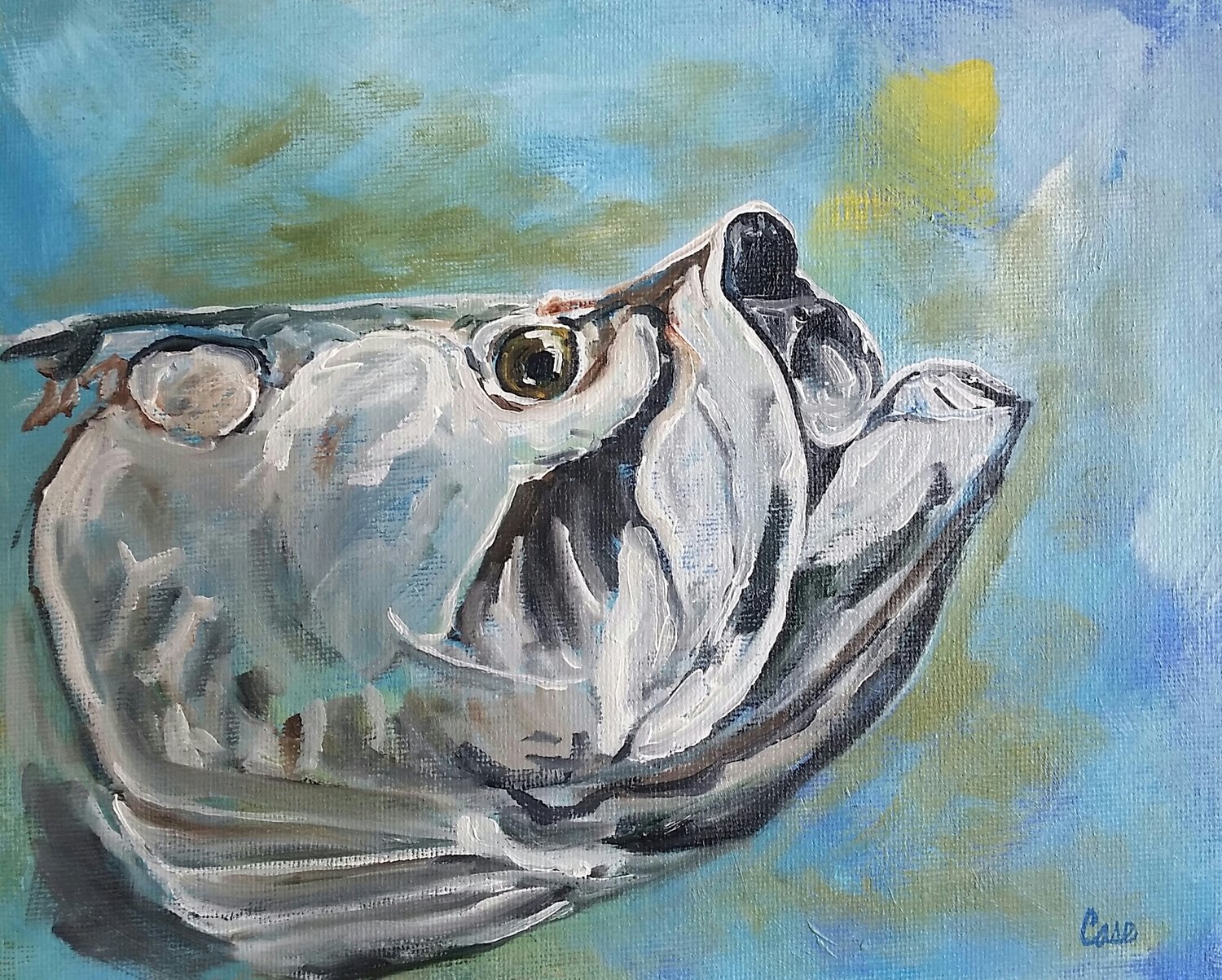 Tarpon Study