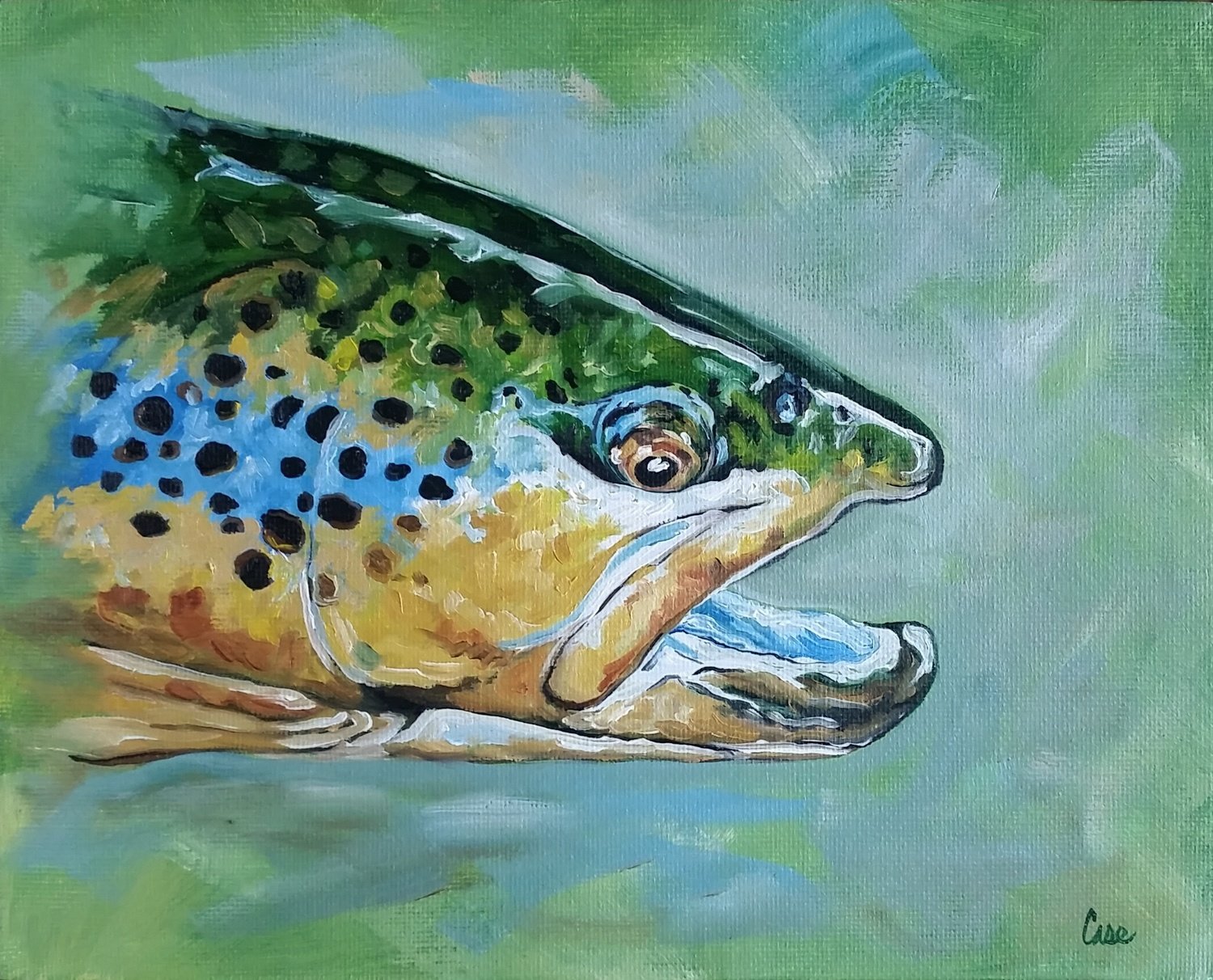 Trout Study