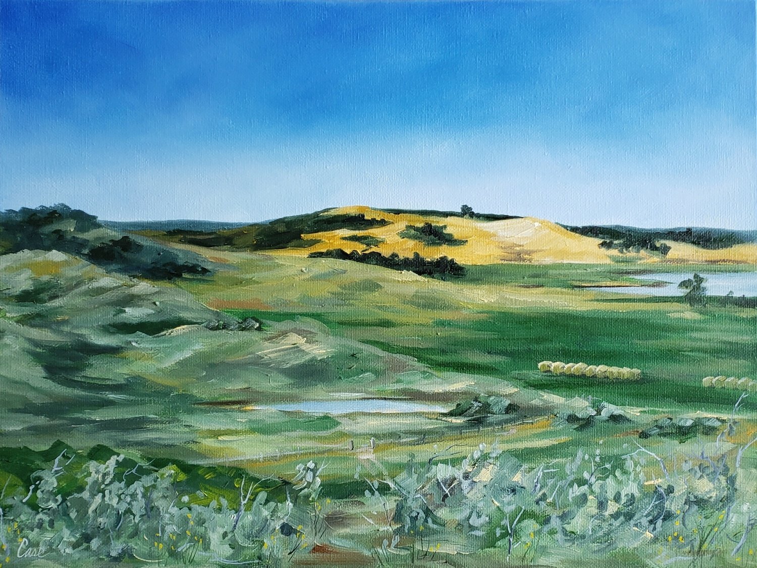 Across the Pasture