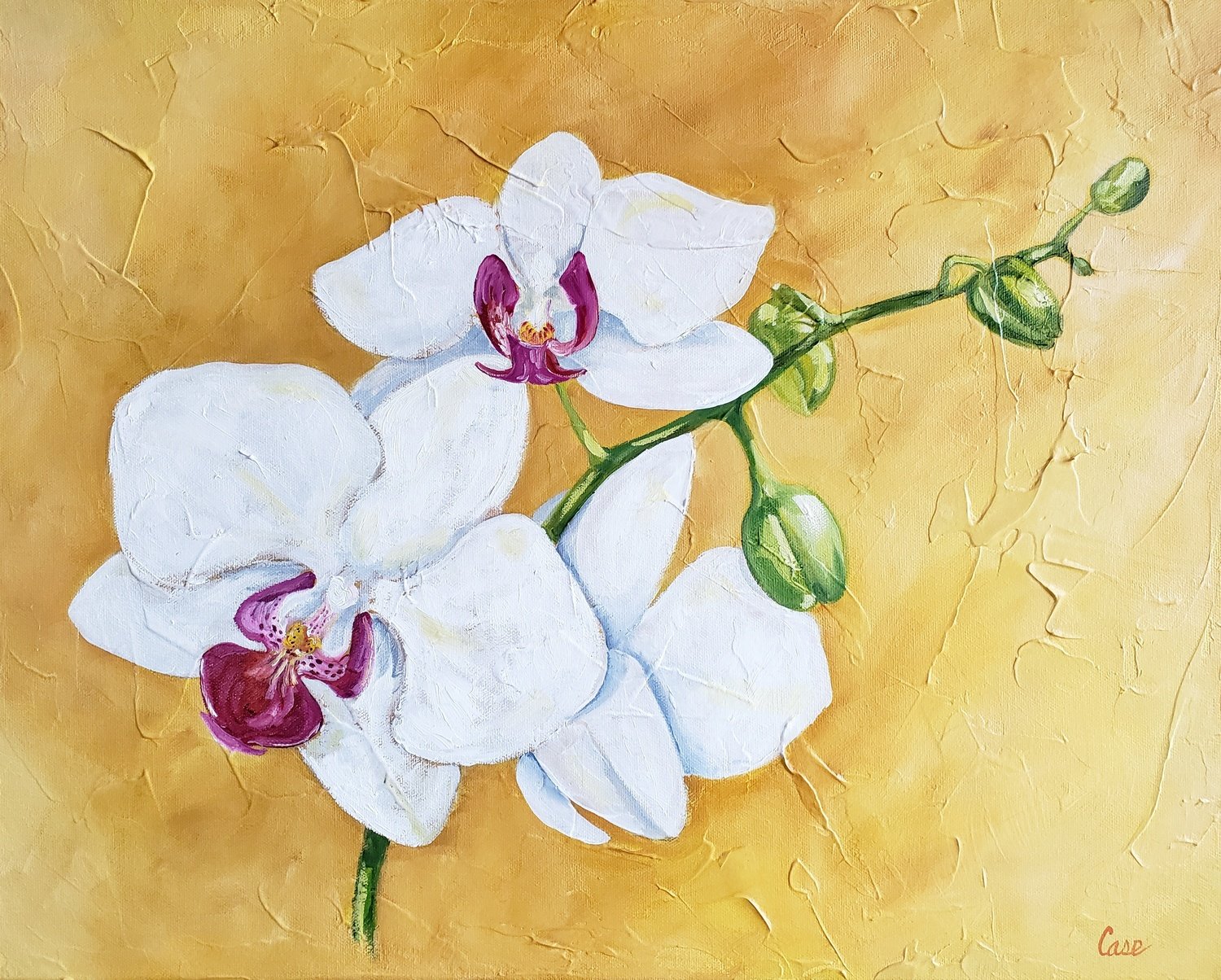 White Orchid