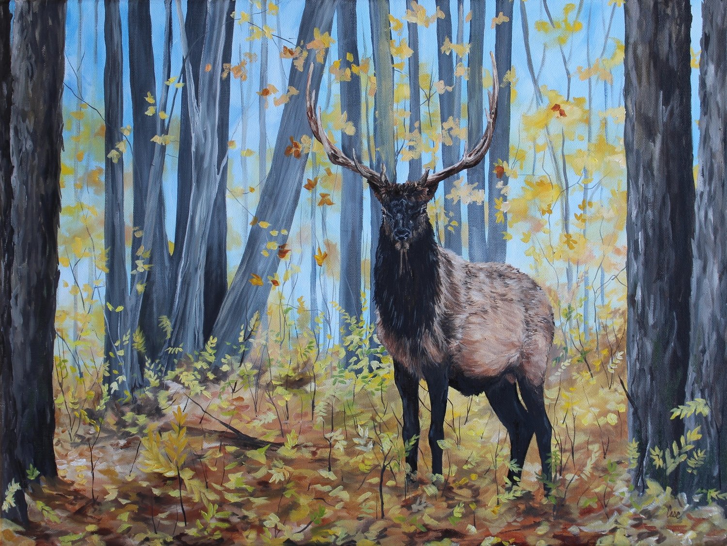 Young Bull in Michigan Timber