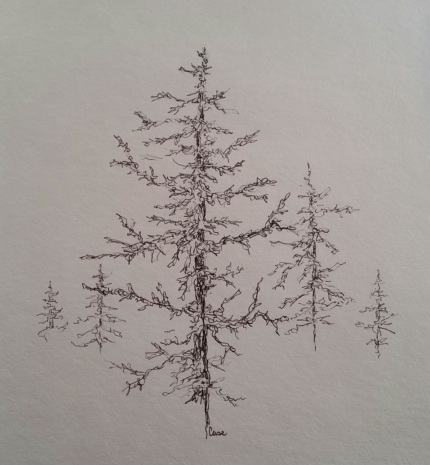 Among the Pines