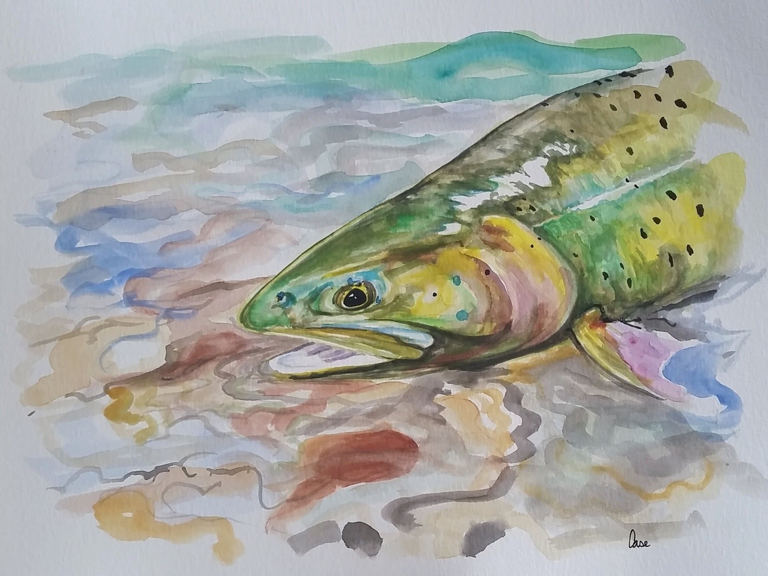 Trout