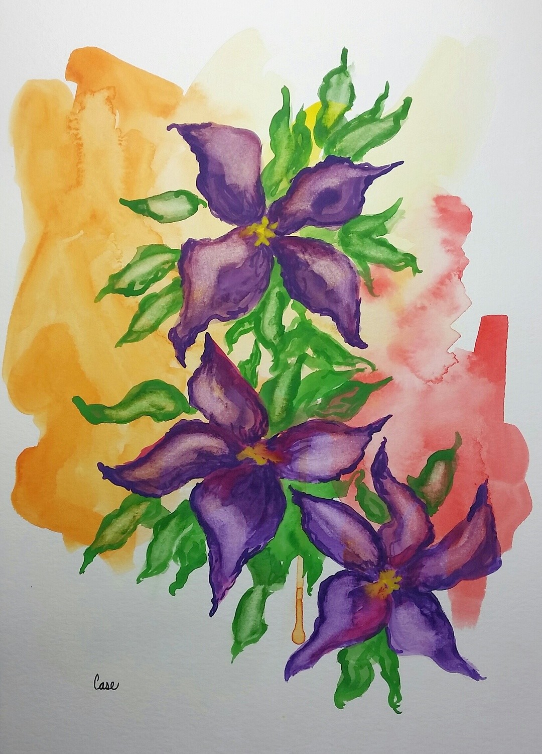 Clematis