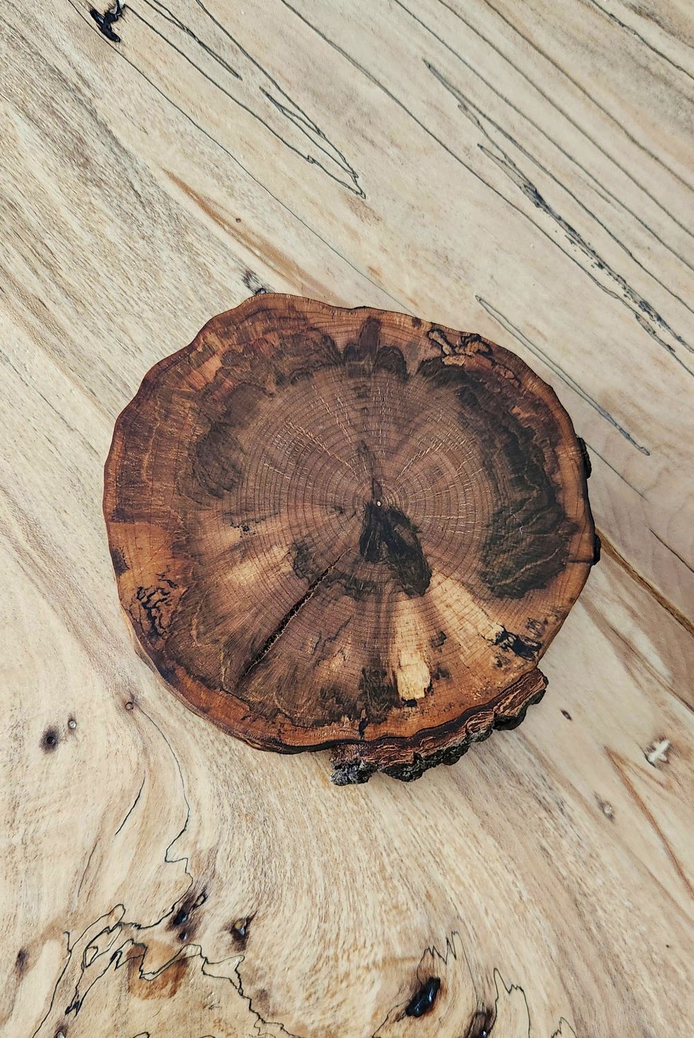 Dark Spalted Maple Coaster