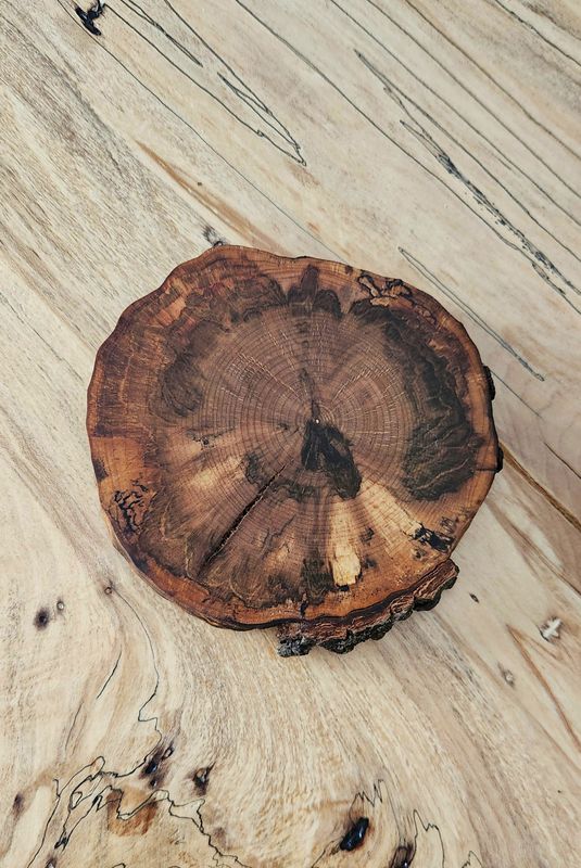 Dark Spalted Maple Coaster