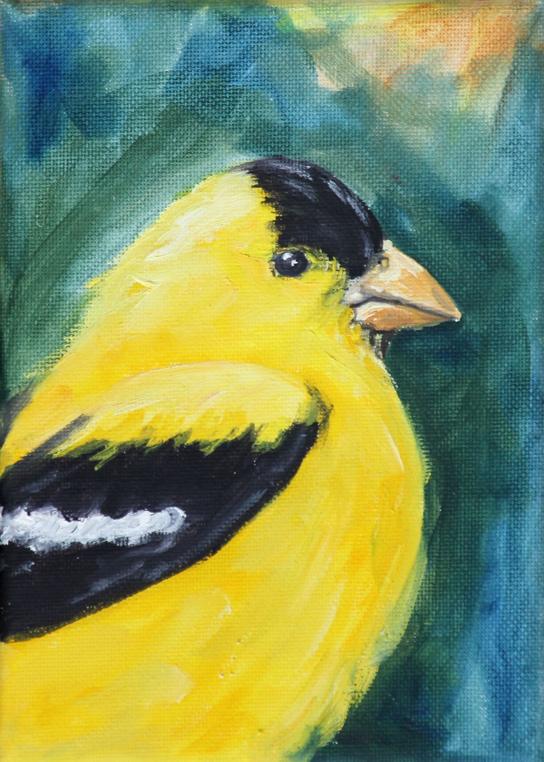 American Goldfinch