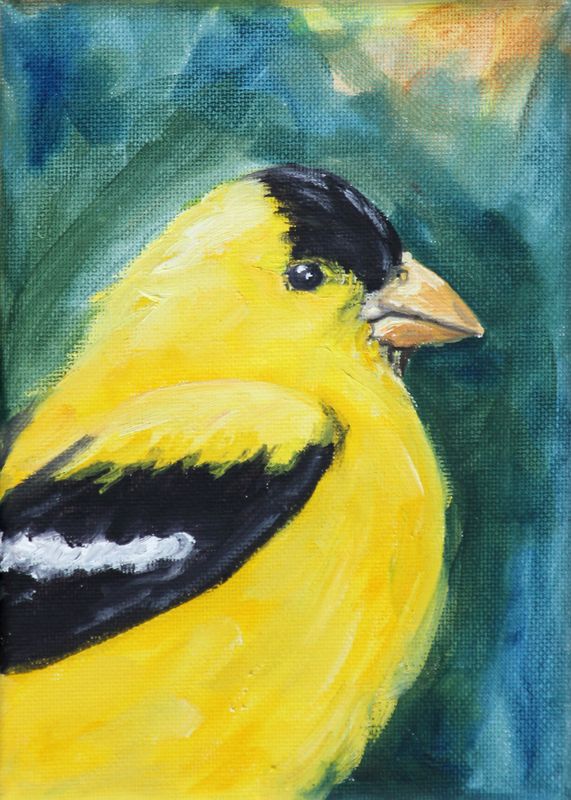 American Goldfinch