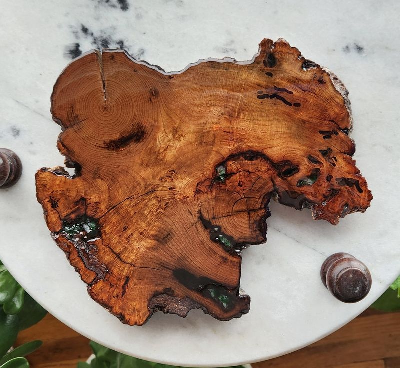 Cherry Burl Slice Coaster