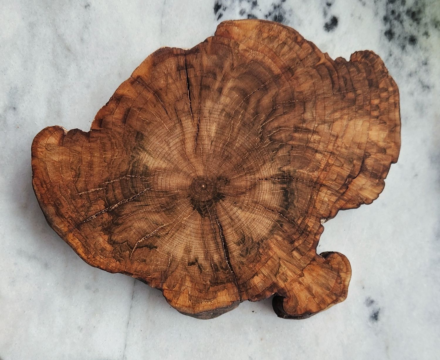 Cherry Burl Irregular Coaster