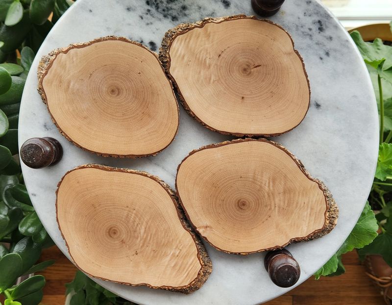 Ironwood Coaster Set